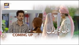 Dil-e-Veeran Episode 39 - 18th Jul 2022